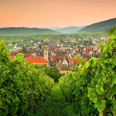 Maeva - Parking, Sauna & Fitness リクヴィール